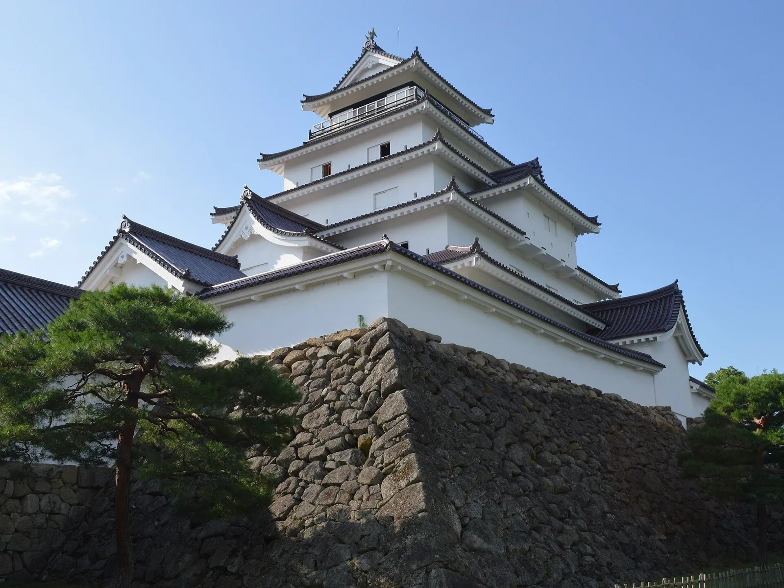 The white keep of Tsuruga Castle rising above its stone walls, with a pine tree in front, in Aizuwakamatsu