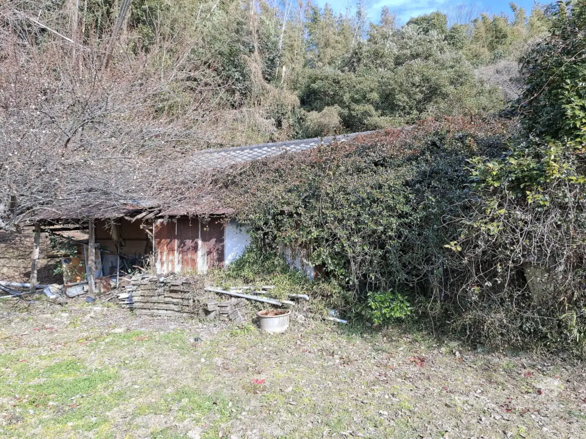 An abandoned, collapsing wooden house overgrown with vines and bamboo in rural Tabuse, Yamaguchi Prefecture