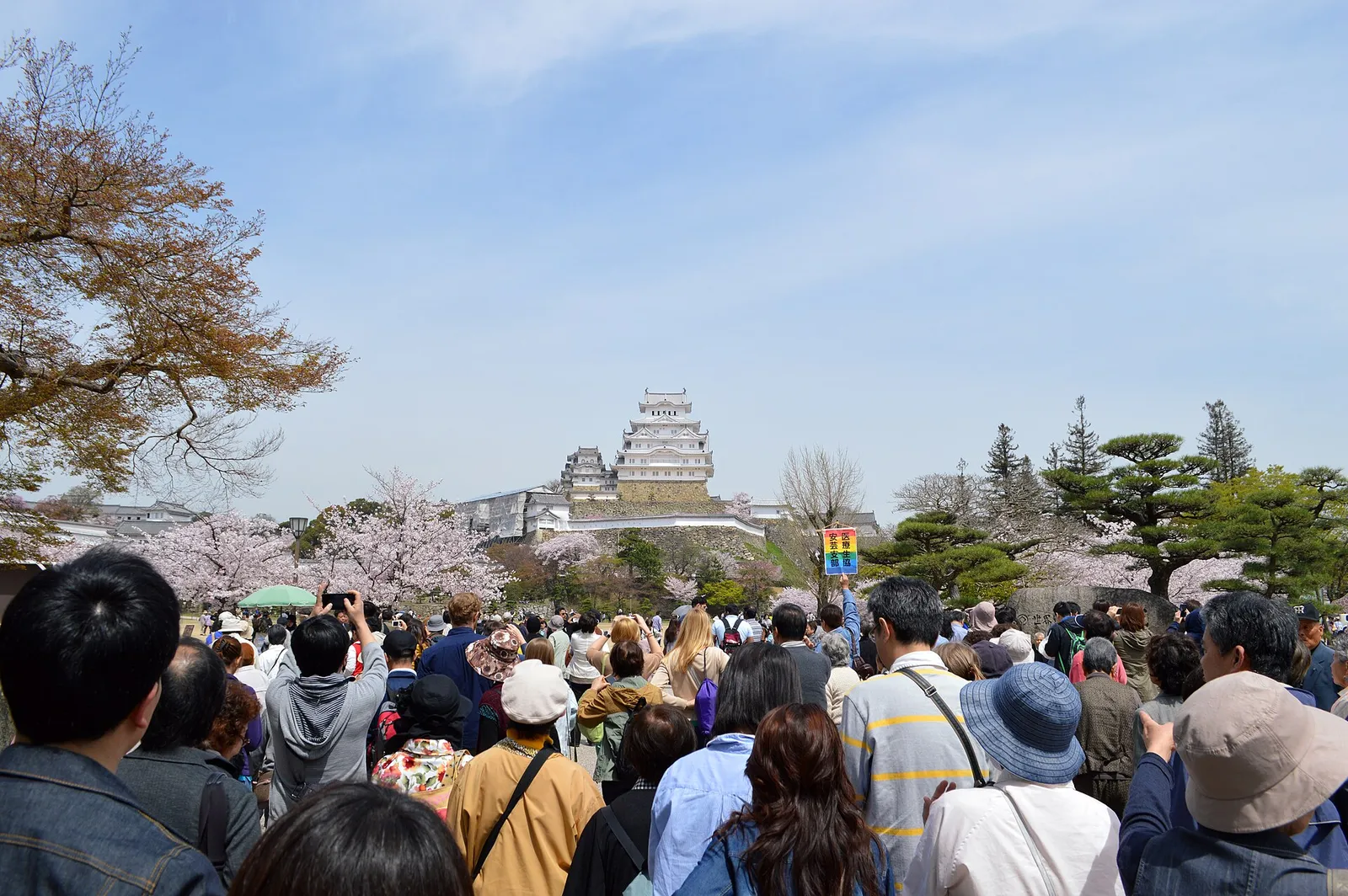 A large crowd of visitors walking toward Himeji Castle through cherry blossom trees on a spring day