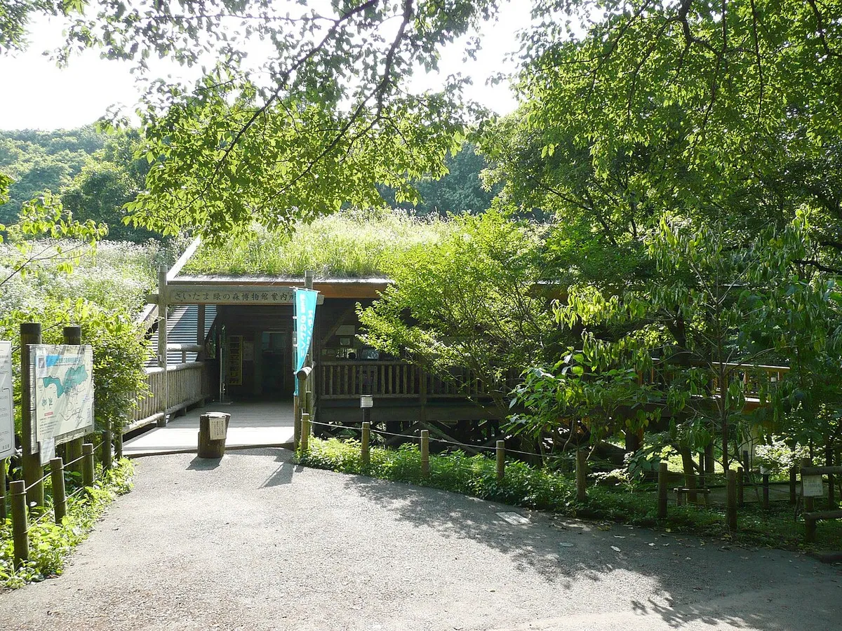 A low timber building with a planted green roof at the end of a gravel path, surrounded by trees, the entrance to Saitama Midori no Mori Museum