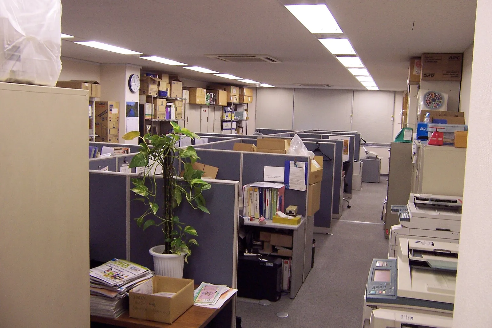 Open-plan office in Tokyo with grey cubicle partitions, copiers, shelves of boxes and a potted plant