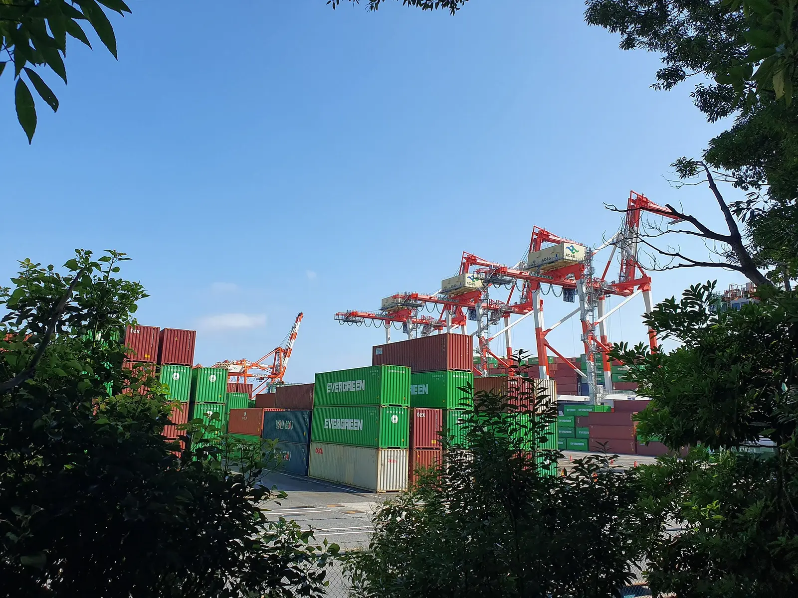 Stacked shipping containers and red and white gantry cranes at a container terminal on Tokyo Bay