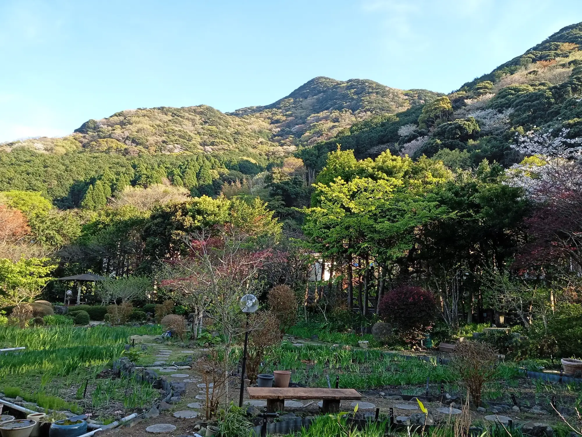 A rural garden with stone paths, flowering shrubs and a wooden bench beneath forested hills