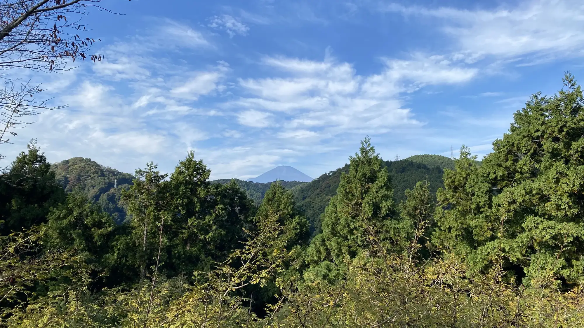 Forested hills and cedar treetops under a blue sky streaked with thin white clouds